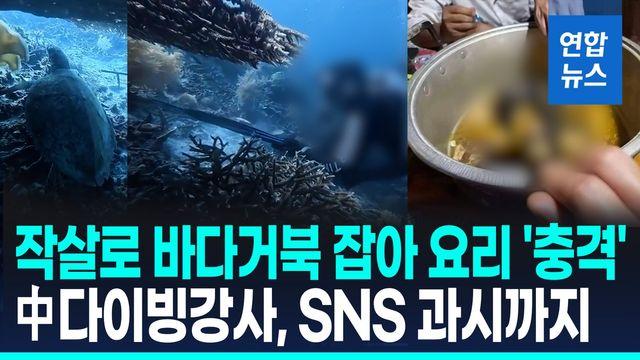 [영상] 작살로 멸종위기 바다거북 잡아먹은 中 다이버…출국 직전 체포