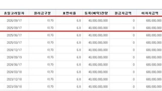 지급 정지 상태인데 이자가 나갔다…자본증권 이자 지급 오류