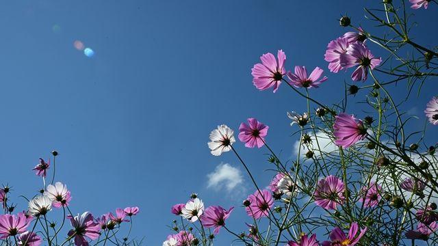 제주지방 대체로 맑고 기온 차 큰 날씨