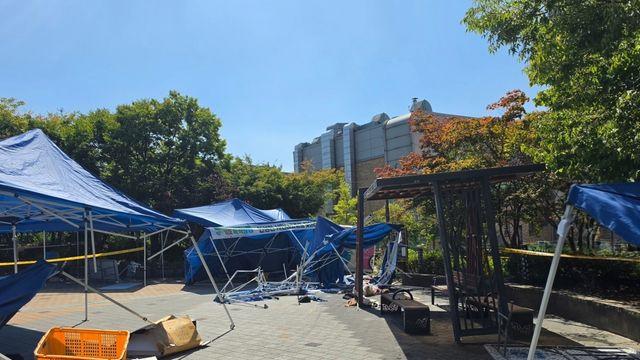 안성 플리마켓 인파에 트럭 돌진…어머니와 아들 사망·5명 부상(종합)