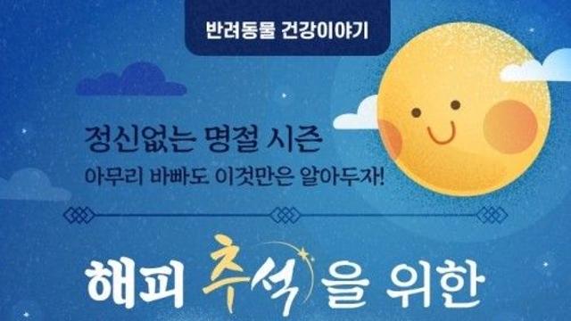 [반려동물 건강이야기] 정신없는 명절 시즌 아무리 바빠도 이것만은 알아두자! 해피 추석을 위한 관리요령