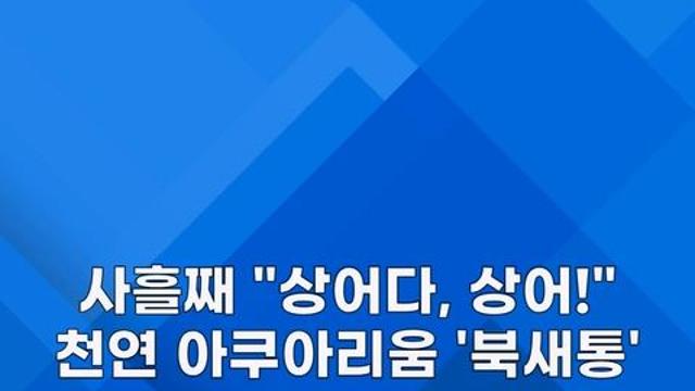 [쇼츠] 사흘째 