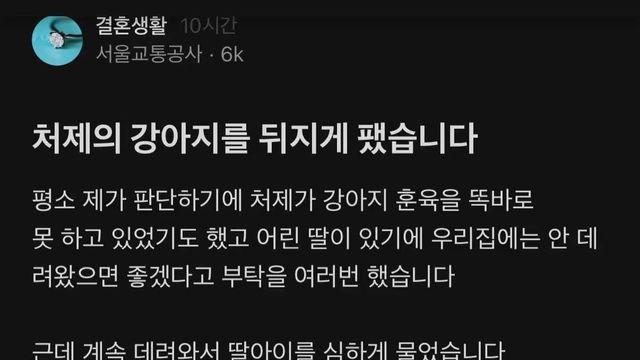 블라인드 강형욱 교육이 필요한 견주