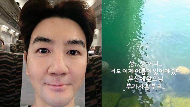 한상진, 부산 북항 출몰 상어에 “첫째도 둘째도 안전” 당부