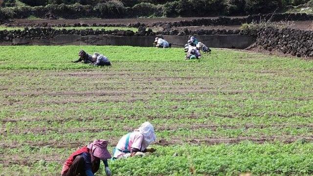 [날씨] 화요일, 맑고 쾌청하지만 ‘18도 일교차’…짙은 안개·해상 너울 주의