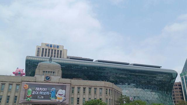 서울시민 무료 보험 혜택? 속지 마세요…가짜 가입 사이트 “비상”