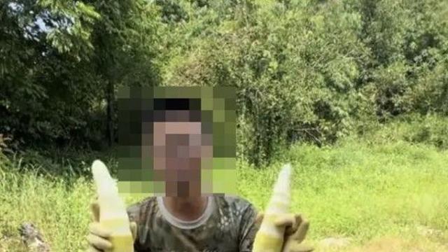 中 '유황 훈증 죽순' 적발…당국 조사 후 법적 대응 착수