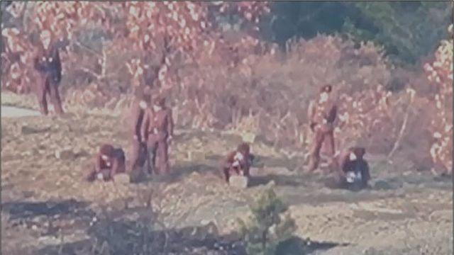 25사단 DMZ서 지뢰 추정 폭발…‘北 지뢰지대 인근’ 주장도
