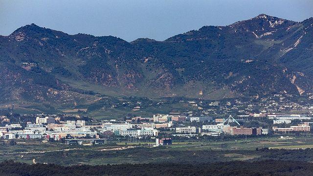 DMZ 폭발, 'MDL 이남 北지뢰의심지대' 조사 수색로 만들다 발생