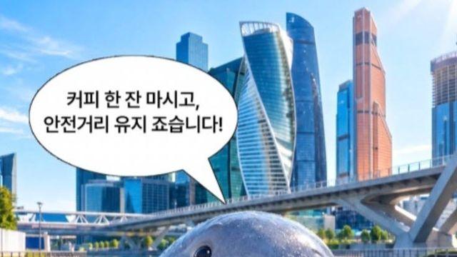 "죠습니다!"...부산 상어, '900억' 살렸다