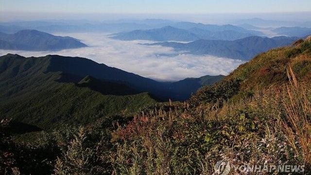[날씨] 추석 연휴 첫날 전국 흐리고 늦더위…강원 산지 밤비