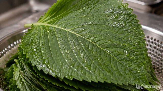 [추석 음식] 깻잎전
