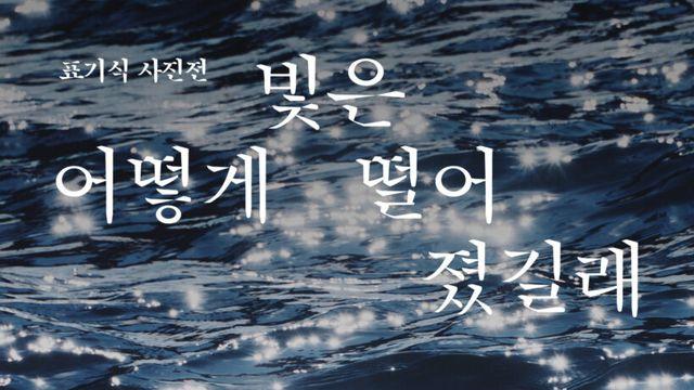 나무 한 그루의 계절부터 한강의 물결까지, 표기식이 담아낸 기다림의 순간들