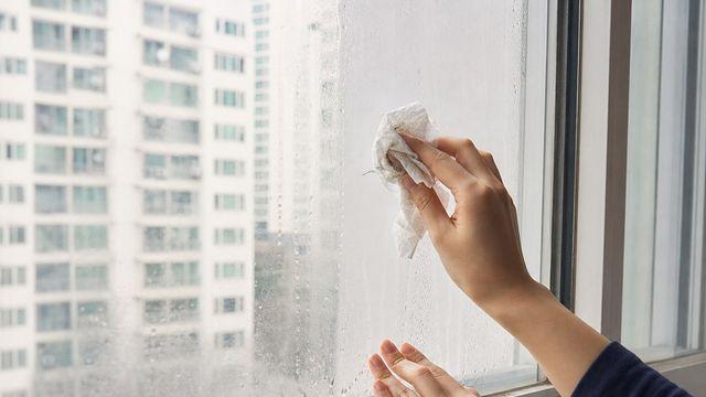 창문 결로 심해진다면 '히터'를 유리에 대지 말고, 가구부터 벽에서 띄워보세요