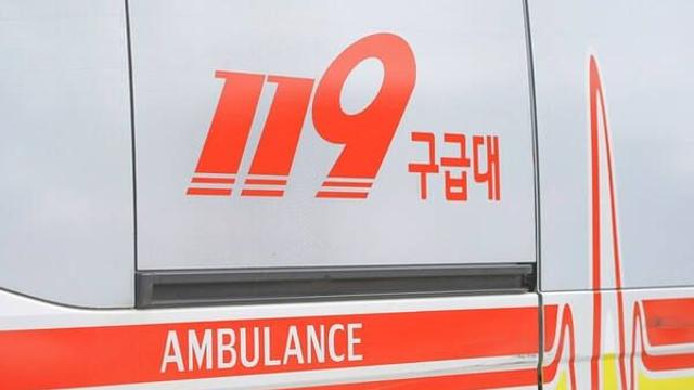 김포 왕복 2차로서 60대 남성, 1t 트럭에 치여 숨져