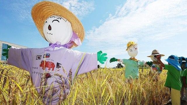 [날씨] 추석 연휴 토요일, 비 그치고 맑아진다…제주 최대 80㎜ 호우