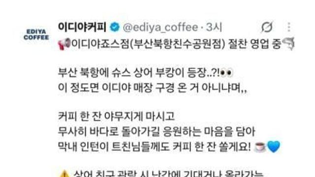 모두가 숟가락 얹는중인 부산 상어 근황