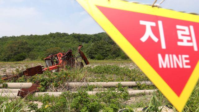 ‘조사 지연’ 논란 속 군·유엔사 DMZ 투입…지뢰폭발 현장조사 준비