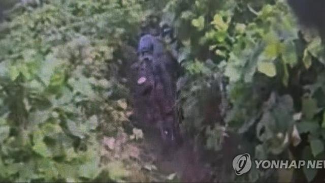 軍, DMZ 현장조사 돌입…폭발지점 도달 못해 추가조사 예정