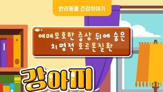 [반려동물 건강이야기] 애매모호한 증상 뒤에 숨은 치명적 호르몬질환-강아지 애디슨병