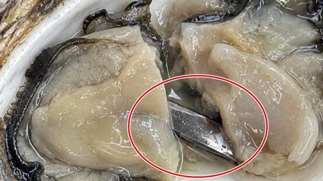굴 먹다 식도 뚫릴 뻔... 5㎝ 칼날 서빙한 을지로 유명 오이스터바