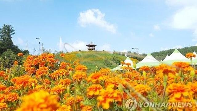 충북 10월 축제 총출동…먹거리·역사·K뷰티 다 모였다
