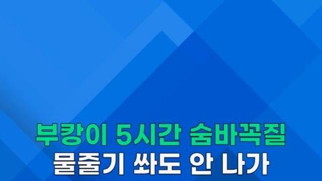 [쇼츠] 물줄기 쏴도 안 나가…부캉이 숨바꼭질만 5시간