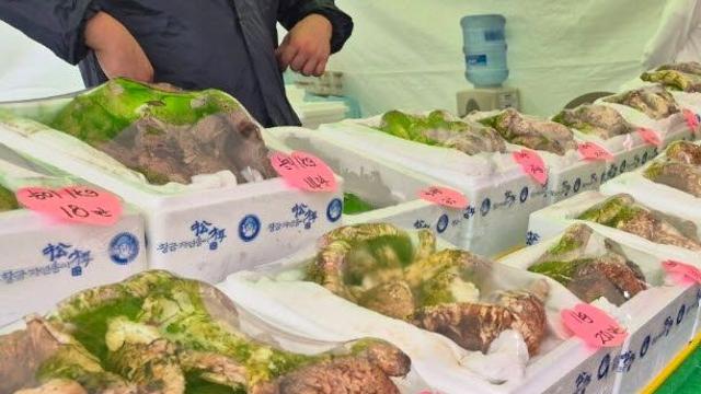 1kg 90만원도 비쌌는데...나흘 만에 '162만원' 된 이것