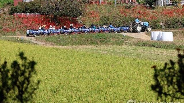 [날씨] 10월 첫날, 맑지만 ‘쌀쌀’…서울 낮 20도에 일교차 15도