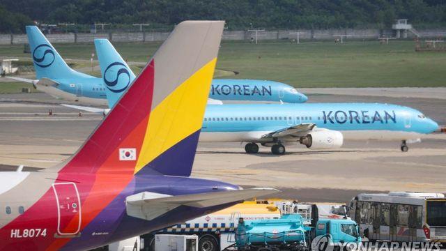 '청주-제주' 예약 어렵더라니…대한항공 등 '좌석 수 유지' 위반