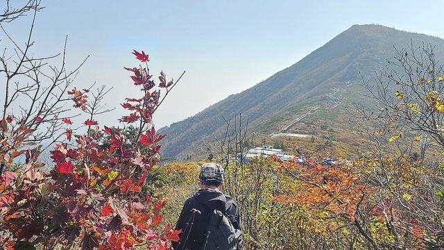 [내일날씨] 아침 최저 기온 5도로 '뚝'…낮에도 20도 안팎