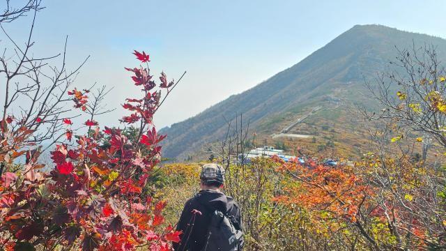[내일날씨] 아침 최저 5도 '쌀쌀'…낮과 밤 기온차 10도 이상