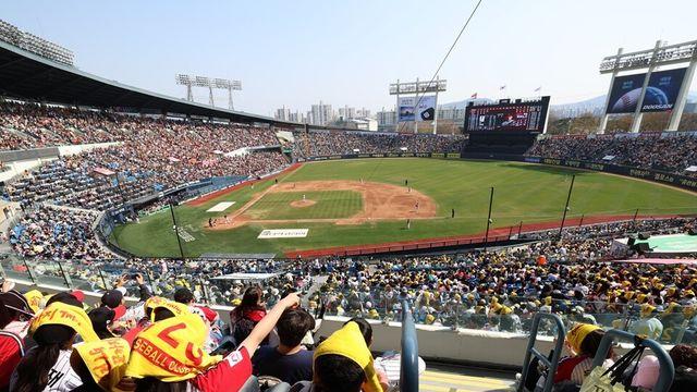프로야구, 역대 최소 경기 1200만 관중… 신기록 초읽기