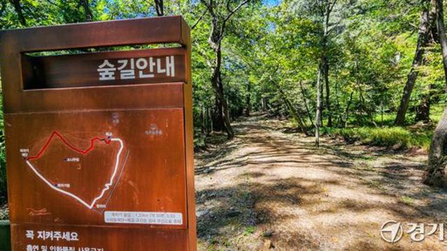 가을 맞아 개방된 조선 왕릉 숲길 거닐며 가을 날씨 즐겨요 [포토뉴스]