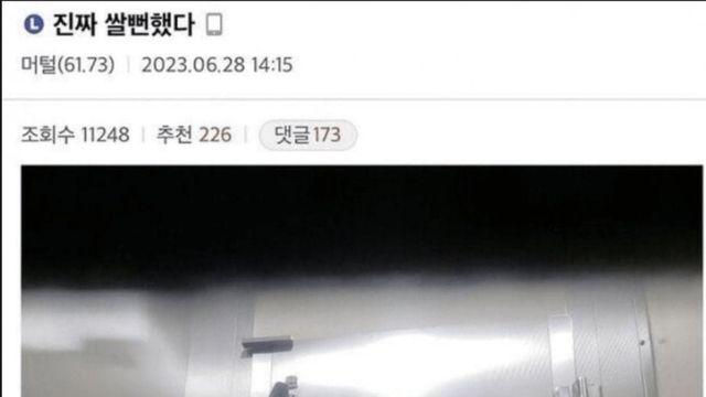 강아지 데리고 나왔다가 급똥 온 사람
