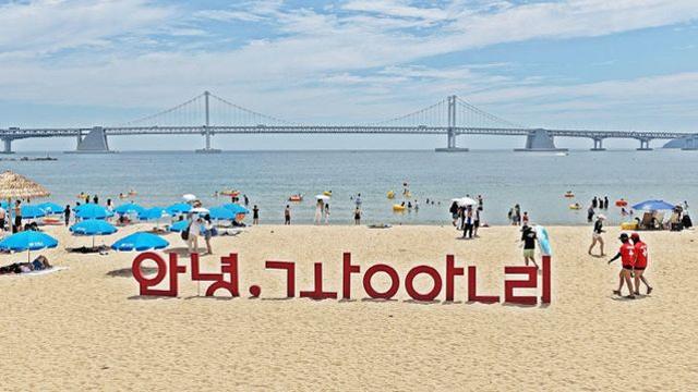 광안리, 전국 우수 해수욕장 선정…안전·접근성·콘텐츠 호평