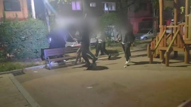 한밤중 평택 공원서 