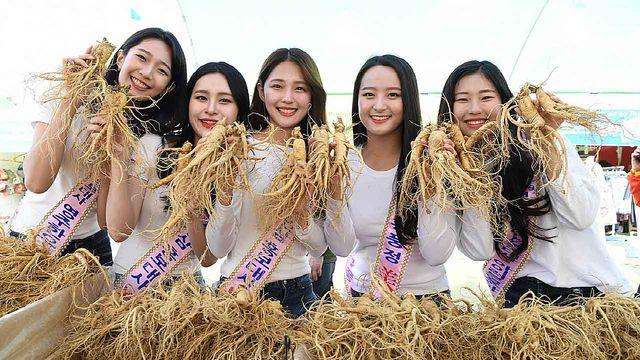“인삼이 이렇게 맛있었나”…먹거리 가득한 2026 영주 풍기인삼축제