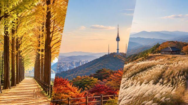 “그 장면 속을 걷고 싶다면”… 가을 로케이션 여행지 3곳