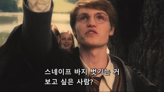 해리포터) 제임스 패거리 설정으로 잘못 알고 있는 경우가 많은 부분