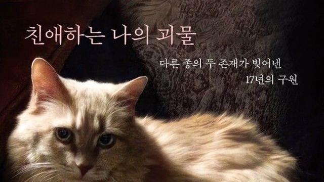 [오늘의 신간] 친애하는 나의 괴물