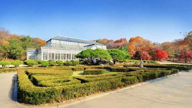 [문화소식] 향과 선율로 만나는 유리 온실…창경궁서 '작은 음악회'