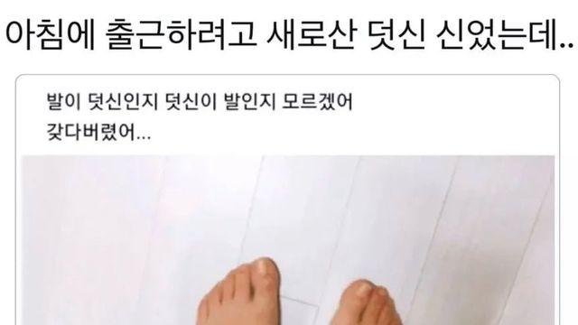 새로신 덧신..