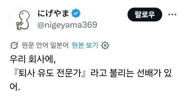 퇴사유도전문가선배