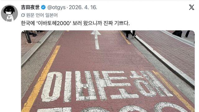 한국에서만 볼수 있다는 명물 