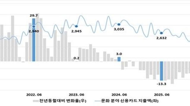 문화생활에 지갑 닫는 소비자들…작년 신용카드 지출 11.2% 감소