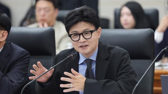 與, '자녀 허위 스펙 의혹' 한동훈 총공세 