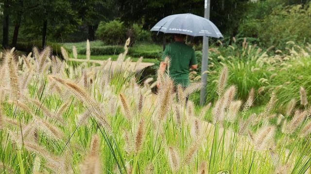연휴 마지막 날 전국 곳곳 소나기…일교차 15도 주의
