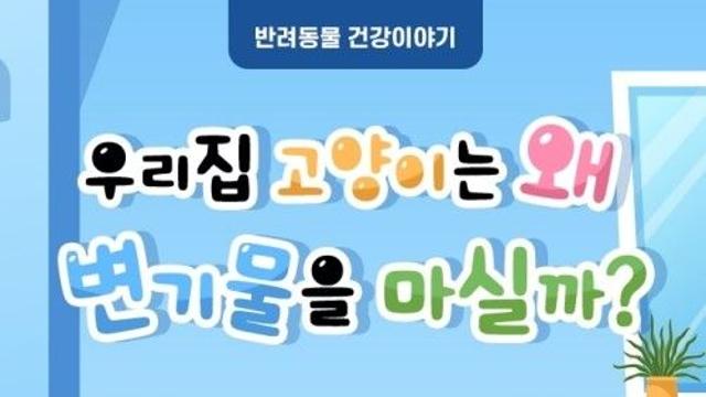 [반려동물 건강이야기] 물그릇 놔두고 변기가 웬 말…우리집 고양이는 왜 변기물을 마실까?