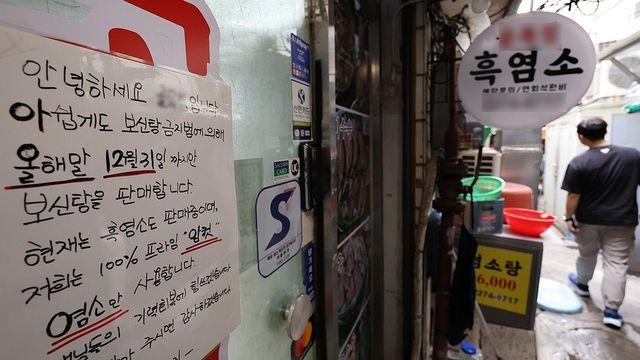 식용견 농장 87% 폐업 완료…사육견 46만 마리서 7600마리로 급감